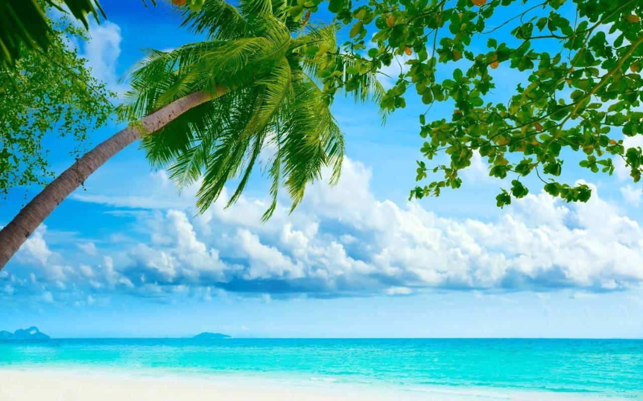 Royale Suites By Arc Royal Luxury Apts Anse Royale Exteriör bild