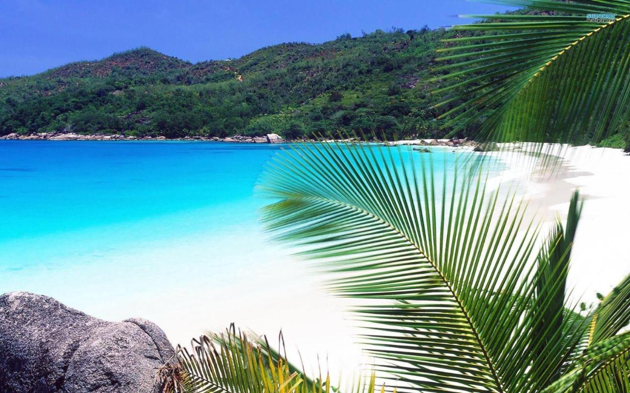 Royale Suites By Arc Royal Luxury Apts Anse Royale Exteriör bild